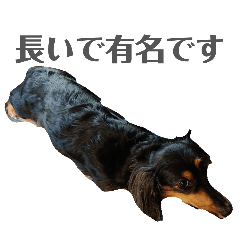 HANAHANA_20260221202143