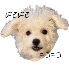 Takase_20260221202213