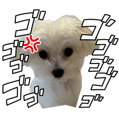 Takase_20260221203406