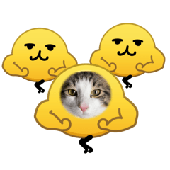 reonyan_20260221203444