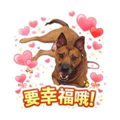 竹北收容所專屬貼圖