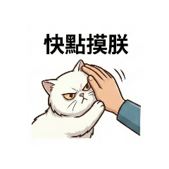 喵主子系列之毛球日常語錄篇