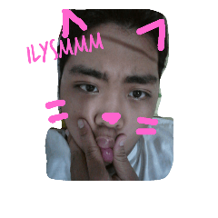 Memew : The Cat