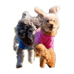 muuuu_2010052220260125