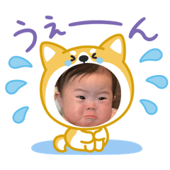 urr_20260221220743