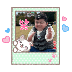 taichan_20260222100154