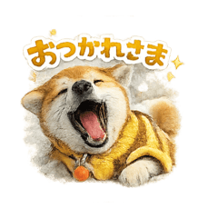 Shiba Inu O-chan2