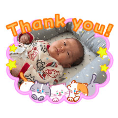 ayachan_20260221224819