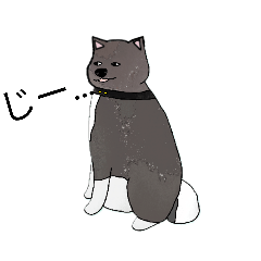 akitainu_w.k_20260221234430