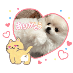 Sumire_20260221235915