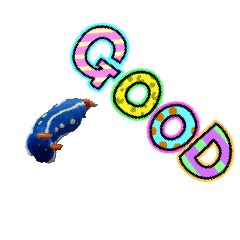 Cheese_20260222103112