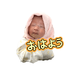 momo_20260222103339