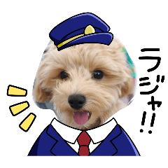 bayashi_20260222011515