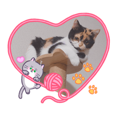 sayuko_20260222113127