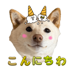 potato_20260222113604