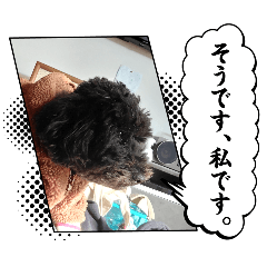 asuka_20260222071541