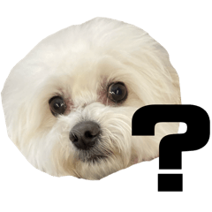inusan_20260222072040