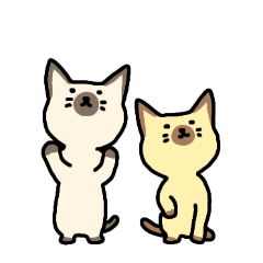 PAKAMOGOLY_20260222020954