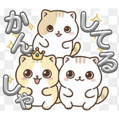 goodluckandhappiness_20260222012317