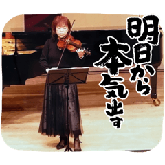 nikorin_20260219115240