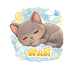 poppop_20260221224724