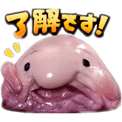 hinata_20260219141741