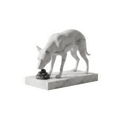 好奇的藝術:狗便便