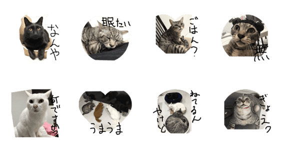 かわいい 猫 ココたち Lineクリエイターズスタンプ Stamplist