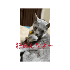 Ohagi_20260222215143