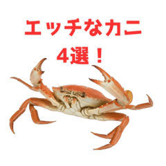 H-Crab stickers