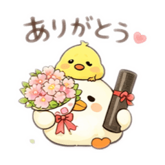 Degenerate chicks and little chicks