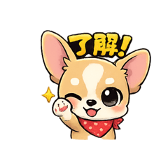 ikupa_20260222134543