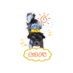 hi!_20260222135744