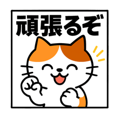 Daily Mikeneko Stickers