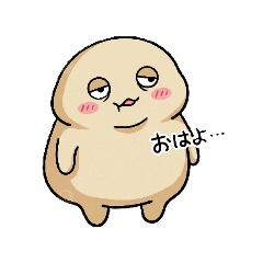 TORAPPY_20260220103726