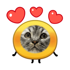 leopui_20260222150036