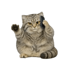 Waving Pallas Cat: Hello Pose