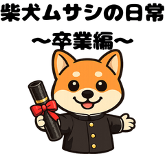 Musashi the Shiba Inu -Graduation