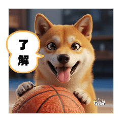 FUJIOKA_20260222172422