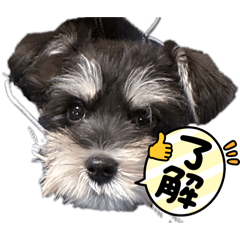 tomomi_20260222152553