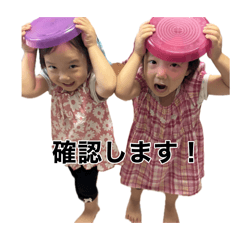k_20260222150856