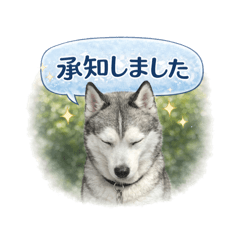 tsunamayo_20260222163246