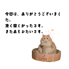 bebekiki_20260222164139