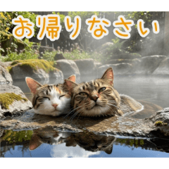 PAKAMOGOLY_20260222163459