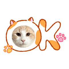 ktjmdw_20260222163819