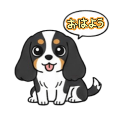 hyoro_bnbn