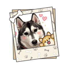 YUZU_20260222210133