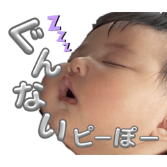 Iruka_20260222233557