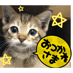 Momochan cute