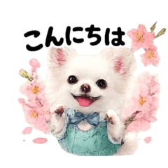 ansumo_20260222235259